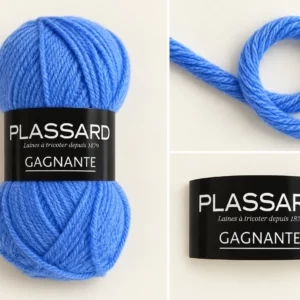 Laine Plassard Gagnante bleu bleuet