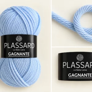 Laine Plassard Gagnante bleu ciel